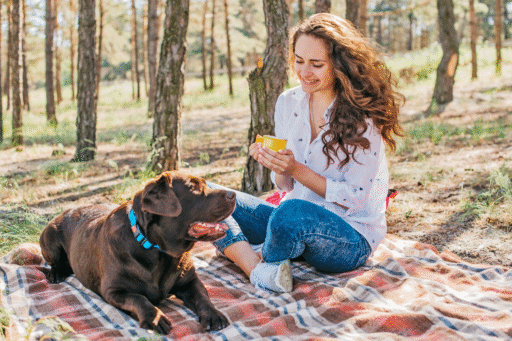 geschenke-für-hunde