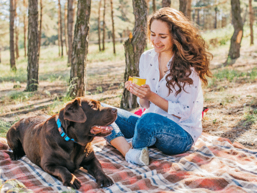 geschenke-für-hunde