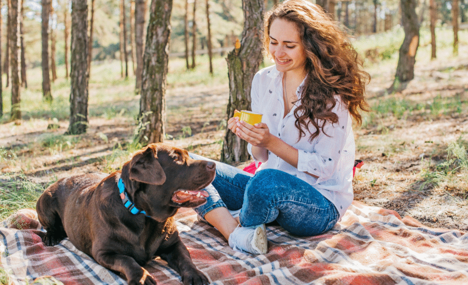 geschenke-für-hunde